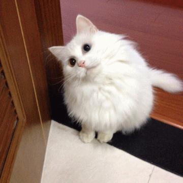 送男闺蜜生日礼物搞笑,闺蜜搞笑生日礼物推荐