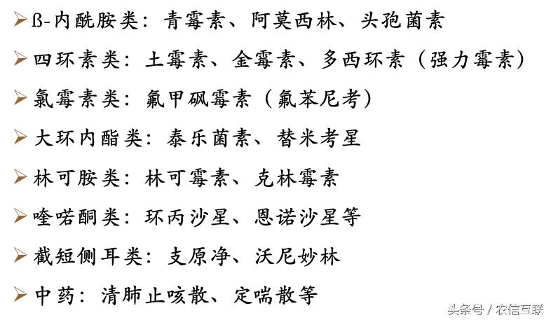 猪呼吸道病怎么治疗效果最好,猪呼吸道病怎么治疗最好