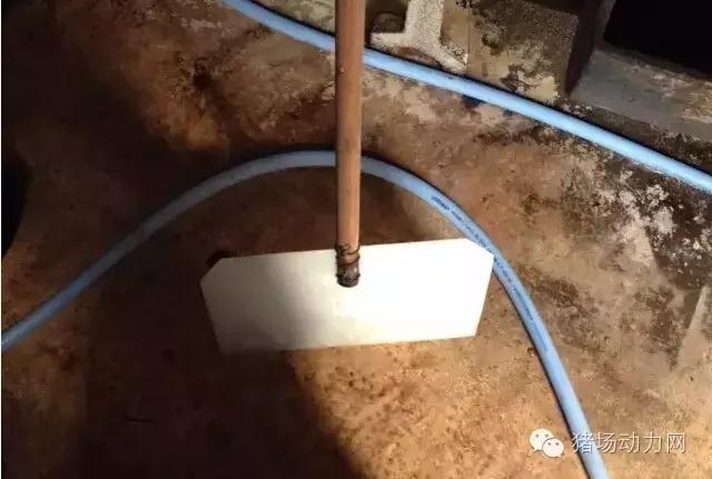 猪场铲粪的工具,铲猪粪神器