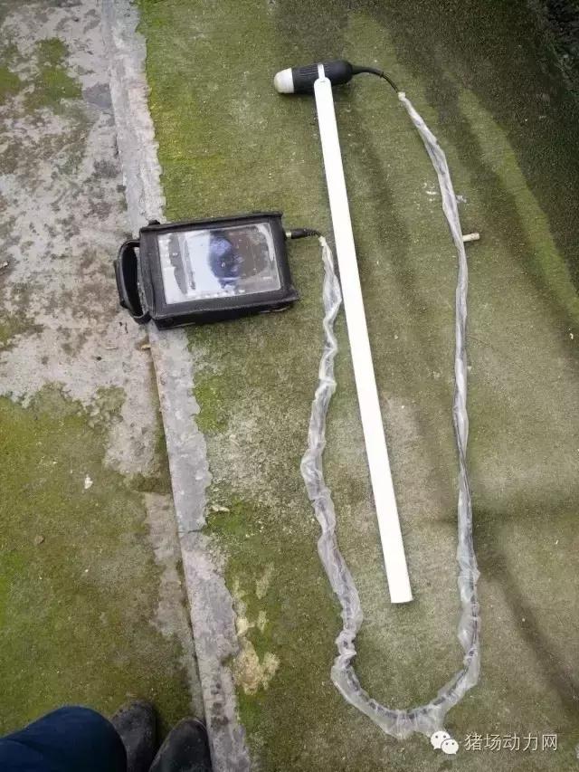 猪场铲粪的工具,铲猪粪神器