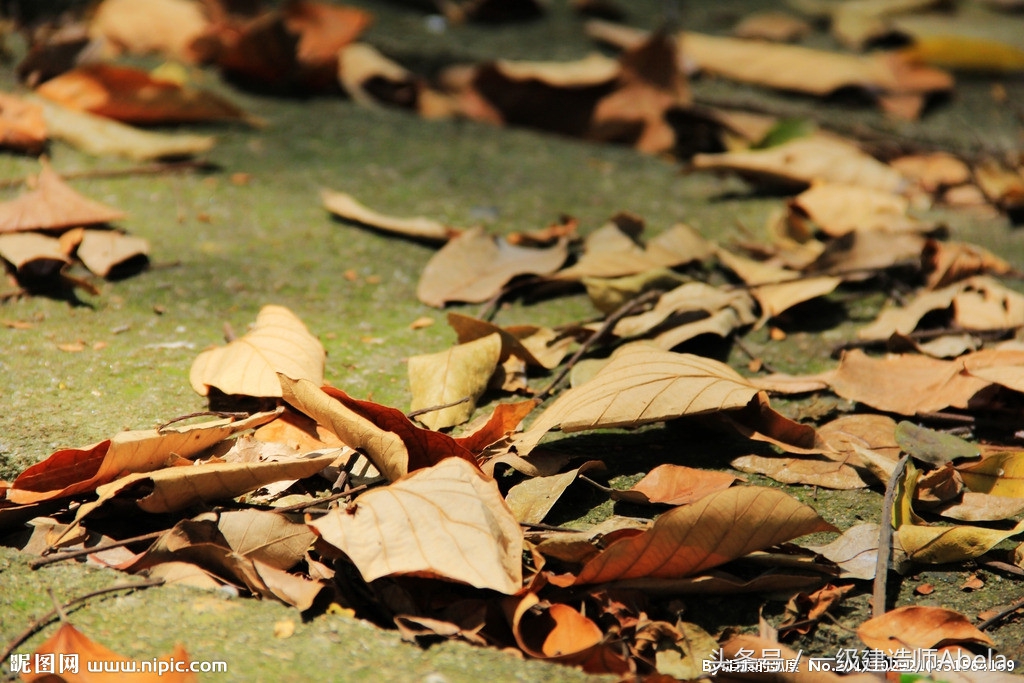 2016年一级建造师难吗,2016年一级建造师