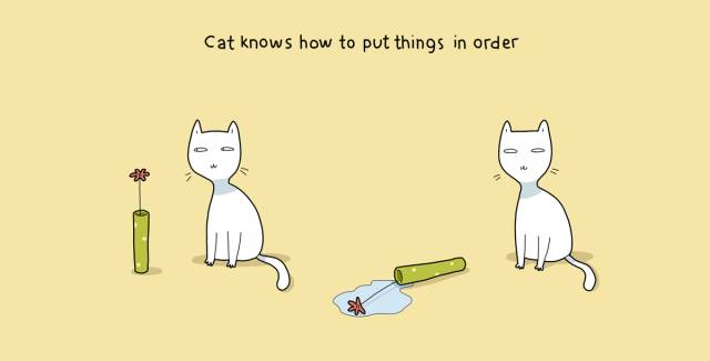 从把它带回家的那一刻起，相信你的生活就已经变了​