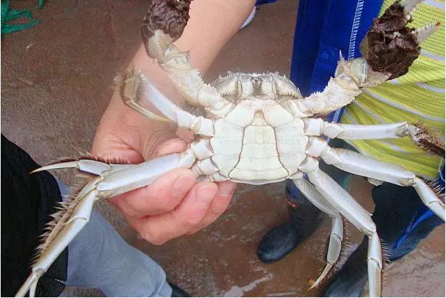 离金堂县150公里左右的景点,成都周边旅游景点大全金堂