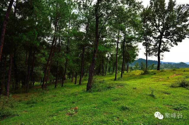 离金堂县150公里左右的景点,成都周边旅游景点大全金堂