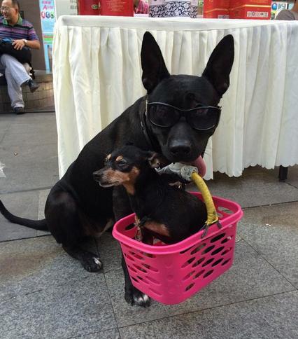 觉得冷穿棉袄的幽默段子,天气冷的段子笑话搞笑版