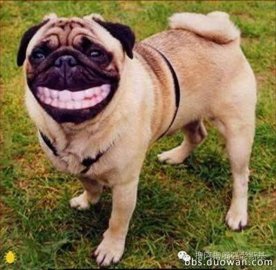 打lol挂机是什么心态,lol手游没挂机系统判定挂机