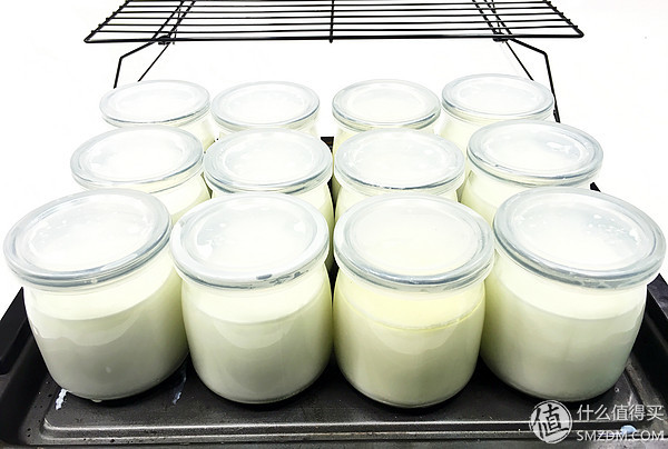 养出一碗好酸奶—12款市面主流品牌酸奶菌种对比测评