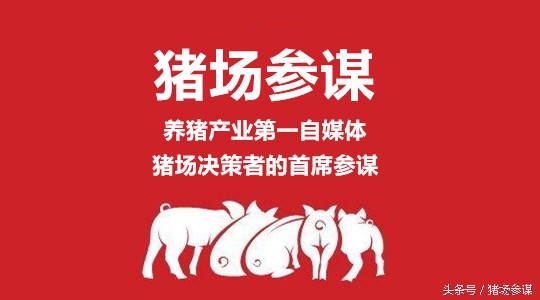 养猪人养猪一定要规避这5件事情,养猪用的消毒剂对身体多大伤害