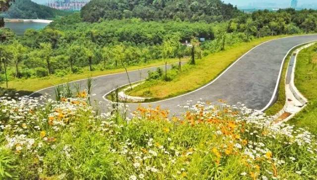 武汉你小瞧江夏了!机场、车都、新城!5年后的江夏再也高攀不起