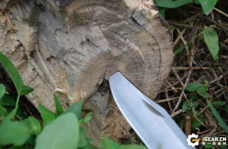 巴克刀测评,巴克小刀测评