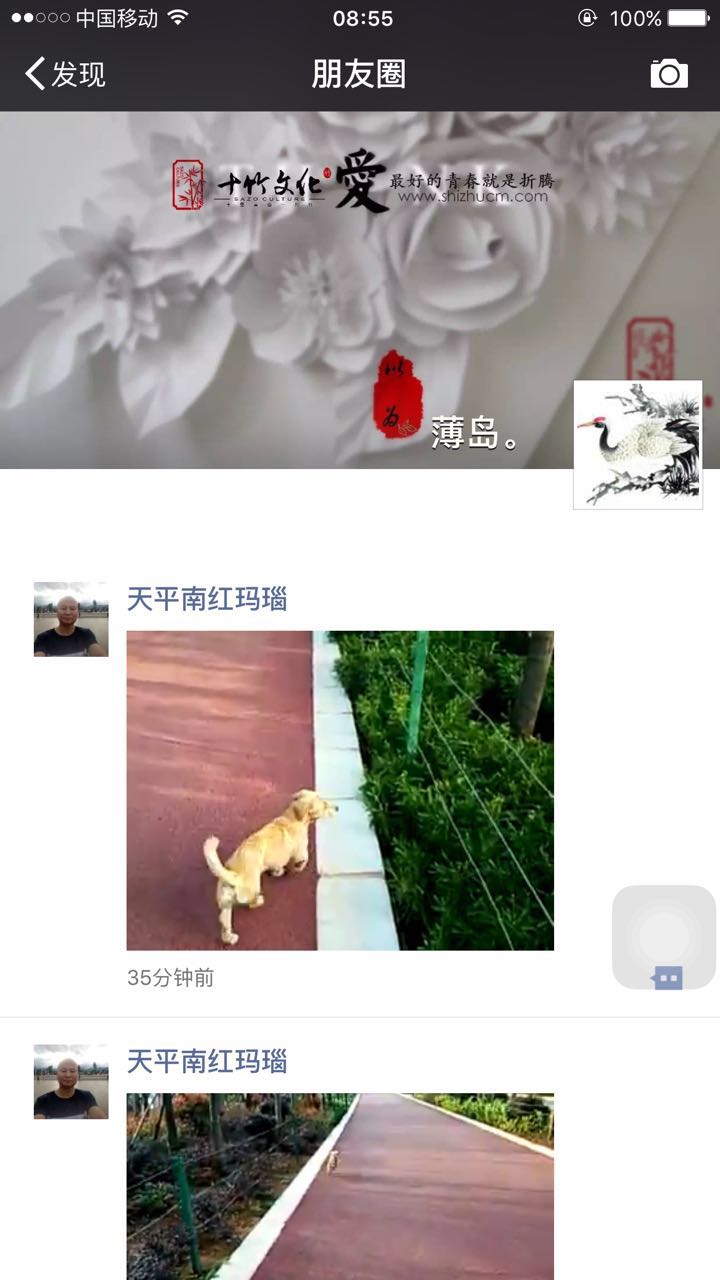 怎么保存微信朋友圈小视频,微信朋友圈小视频怎么下载到本地