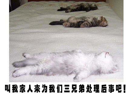 笑吧笑吧原唱完整版女声,笑吧笑吧日文