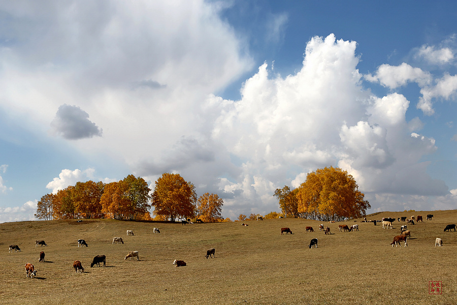 坝上草原雪景航拍,坝上草原秋景美图