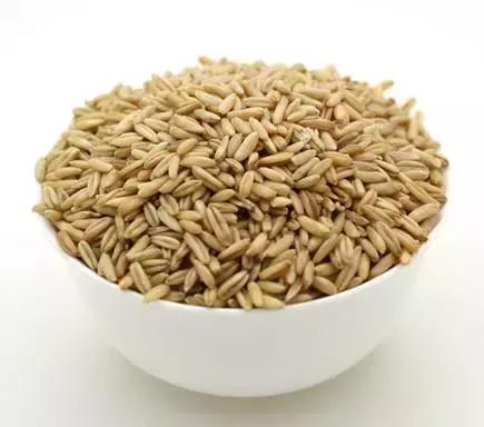 24种健康养生的食物,十种营养养生食物身体保健必备