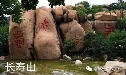 秦皇岛重阳,九九重阳节河北吃什么