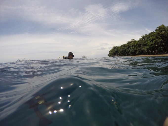 菲律宾潜水游记 (回忆菲律宾潜水的时光)