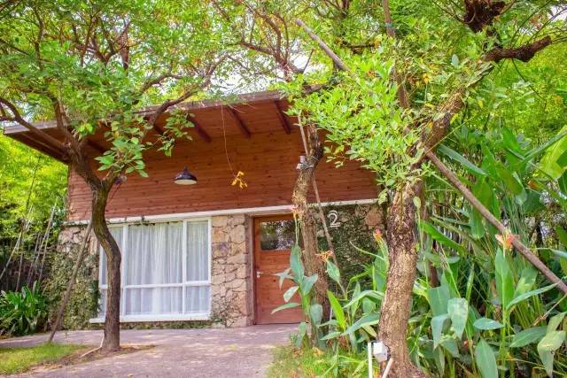 〈花开园〉顺德一间靓到“氹”一声的花园食府，赏花喂牛亲子