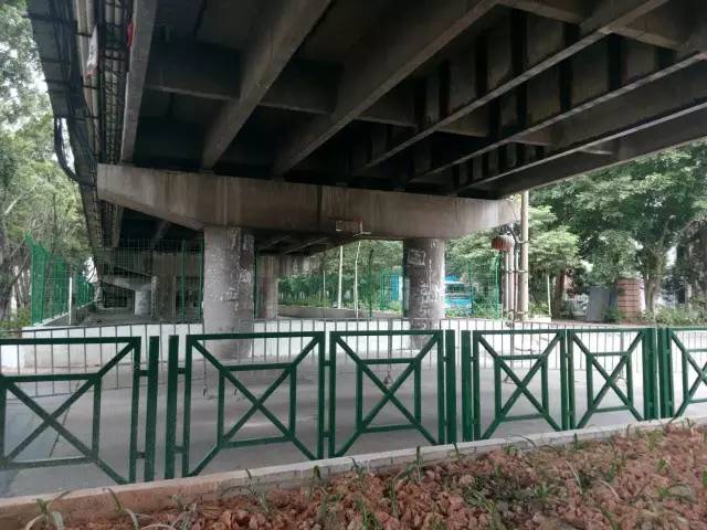 番禺|这天，我在南浦桥底偷摘了一朵花，为祖国母上庆生