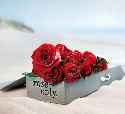 家中可以种玫瑰花吗,其实在家种玫瑰花的方法很简单