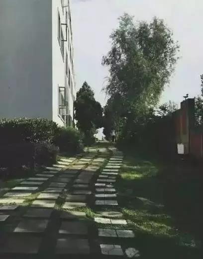 成都最土豪的学校,成都最贵私立学校最密集的区