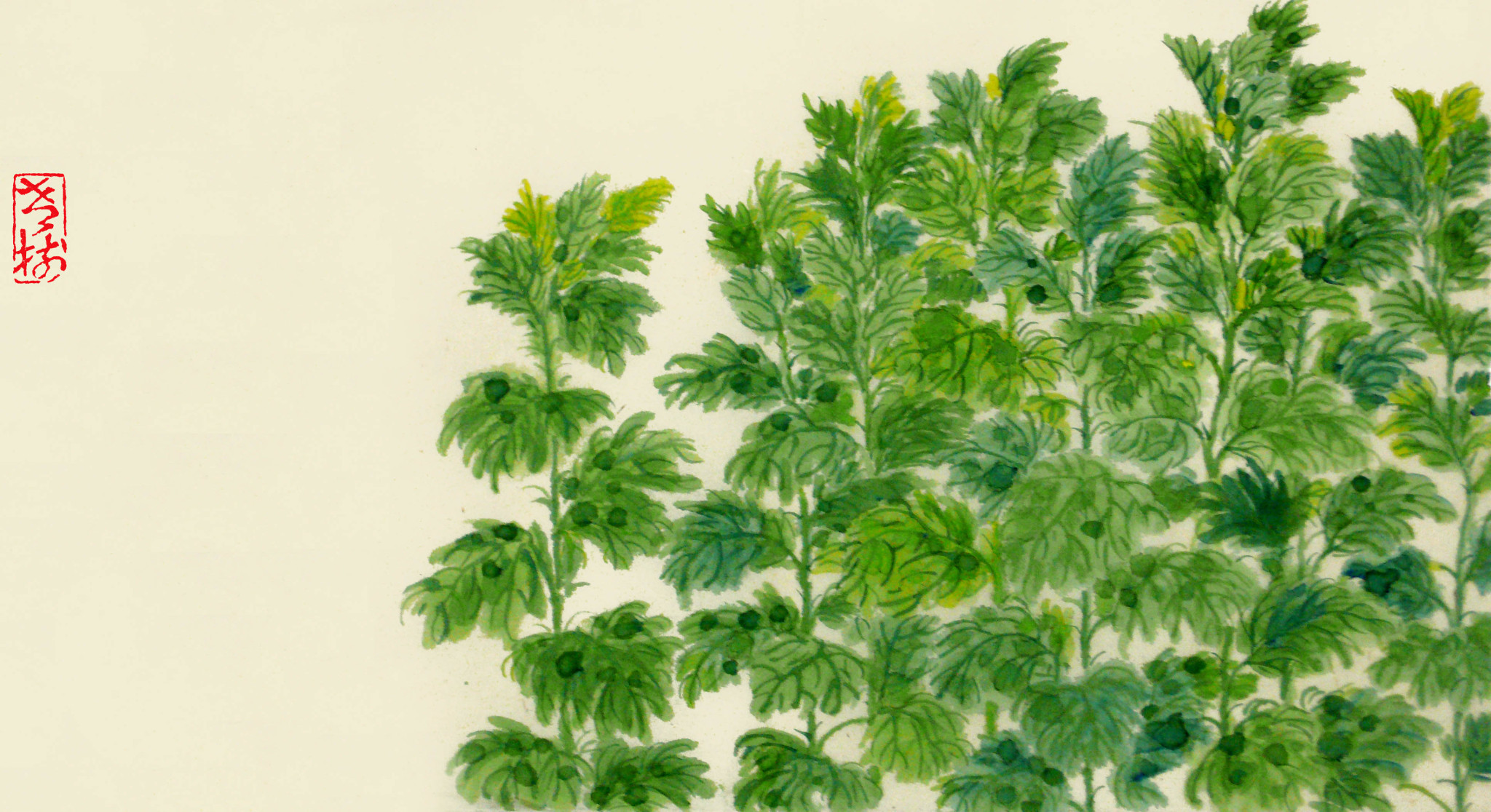 艾草内衣内裤抑菌皂,萃取艾草草本植物精油皂