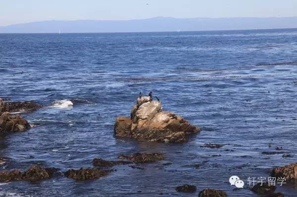 美景+购物黑色星期五遇上加州一号公路！完美旅程11月19日启程！一年一次！抓紧报名！