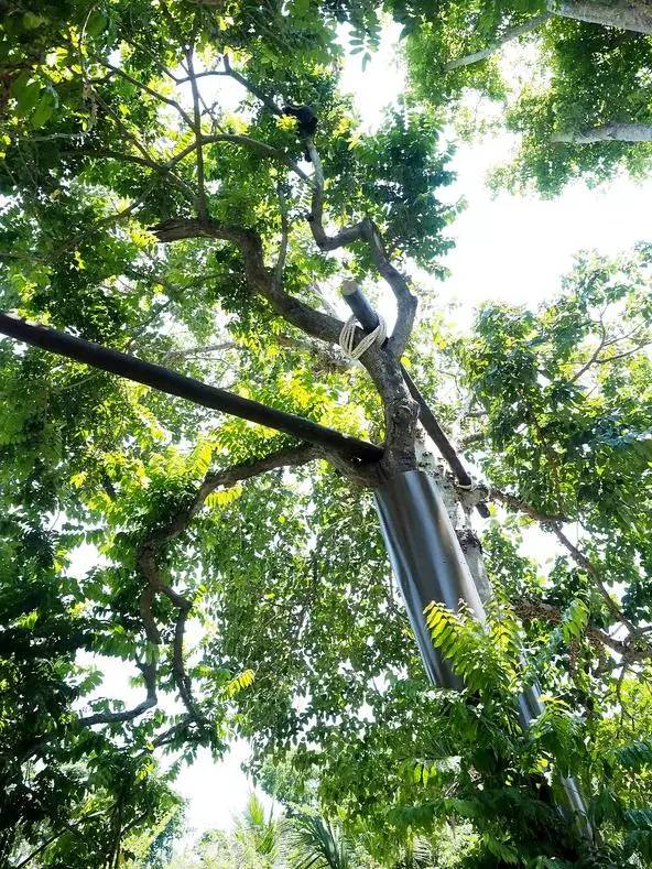 朋友圈发海边泳衣照好不好,朋友圈晒沙滩泳装