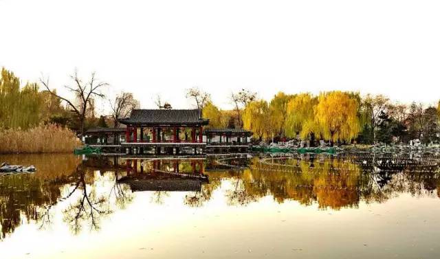 何处合成愁离人心上秋全文,离人心上秋萧萧