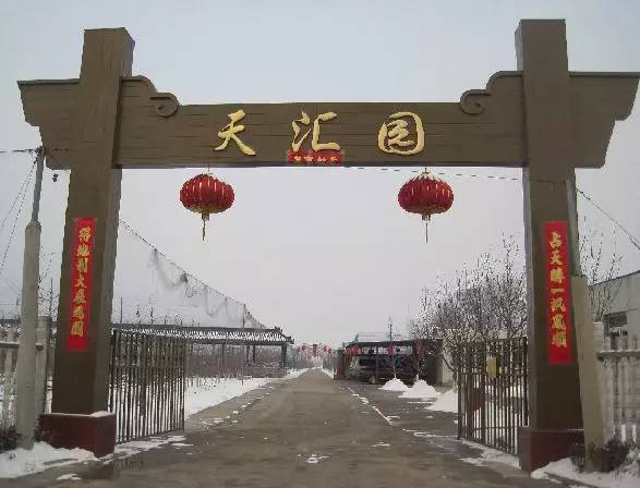 昌平区农业示范园采摘苹果,北京昌平苹果最佳采摘期