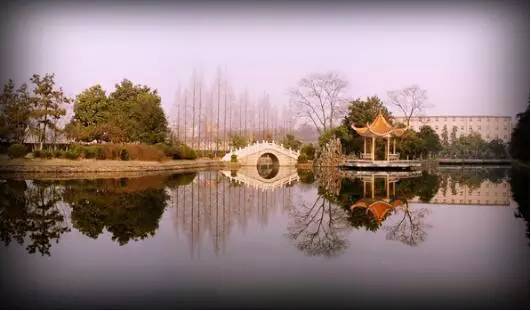 探秘校园的感想作文400字,探秘课文