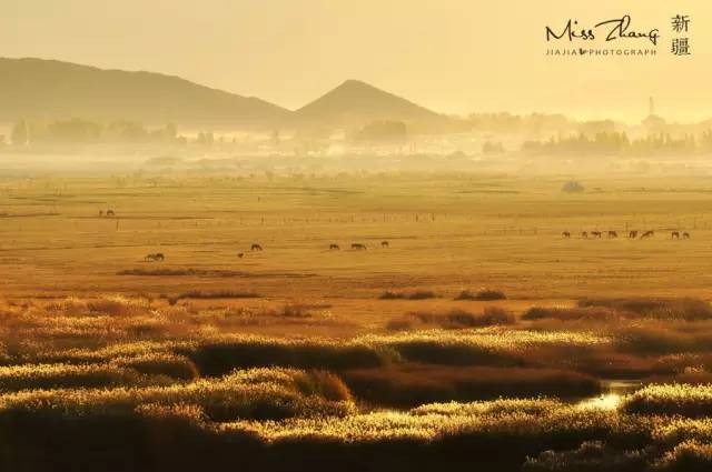 中国秋天最美的十个地方,秋天最美的旅游地点
