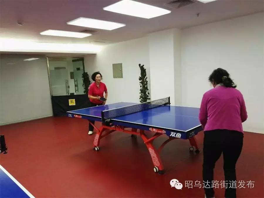 税苑社区成功举办“幸福税苑”乒乓球友谊赛