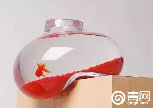 为什么去了日本旅游就不想回国,为什么去了日本就不想回国