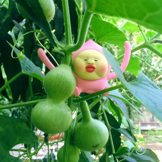 挑战你们的审美,挑战你的审美