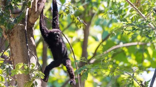 朋友圈发海边泳衣照好不好,朋友圈晒沙滩泳装