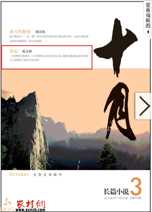 作家庞文梓简介,陕西庞文梓