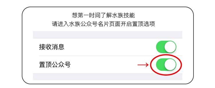 ada开缸第二天,ada开缸