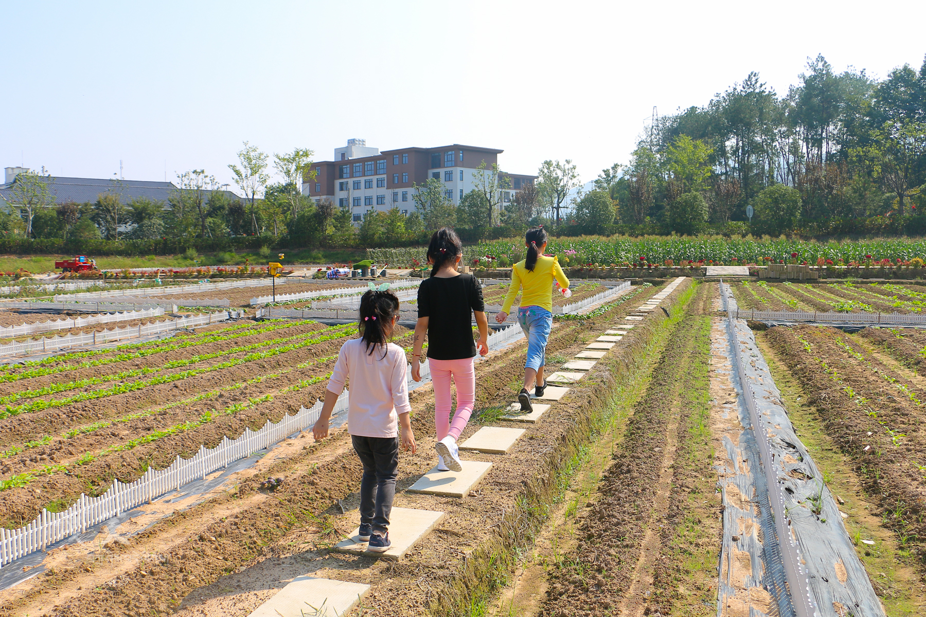 秀出浙江新高度,东阳凤凰谷天澜度假酒店儿童房