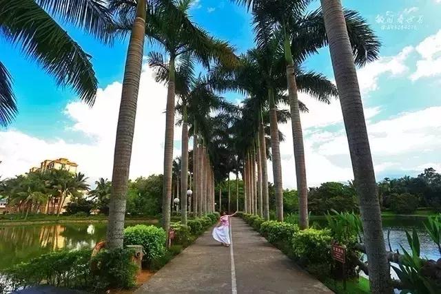 海南万宁国庆旅游攻略,万宁十大旅游必买品