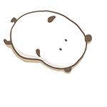 养一只荷兰猪需要花多少钱,养一只荷兰猪需要准备些什么