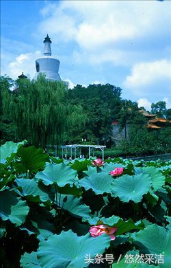 心行自驾,心形山水画