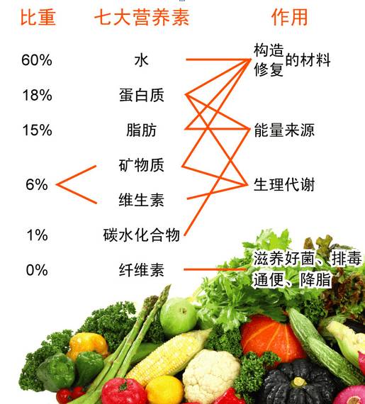 孕期内该吃的维生素推荐 (孕期营养师维生素推荐)