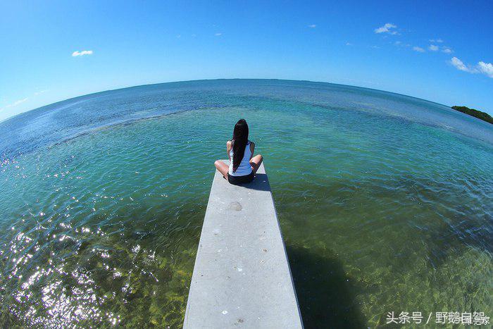 野鹅旅行,野鹅自驾无人区