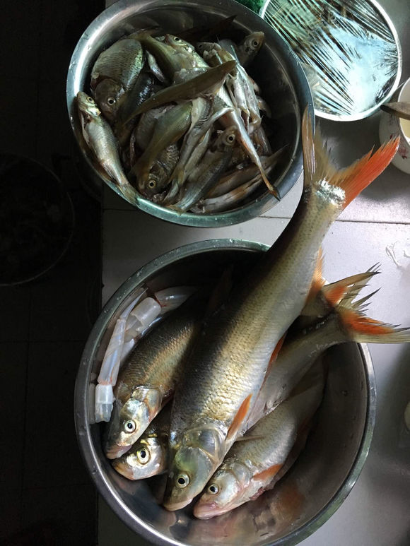 为什么野钓更舒服,为什么野钓要钓底