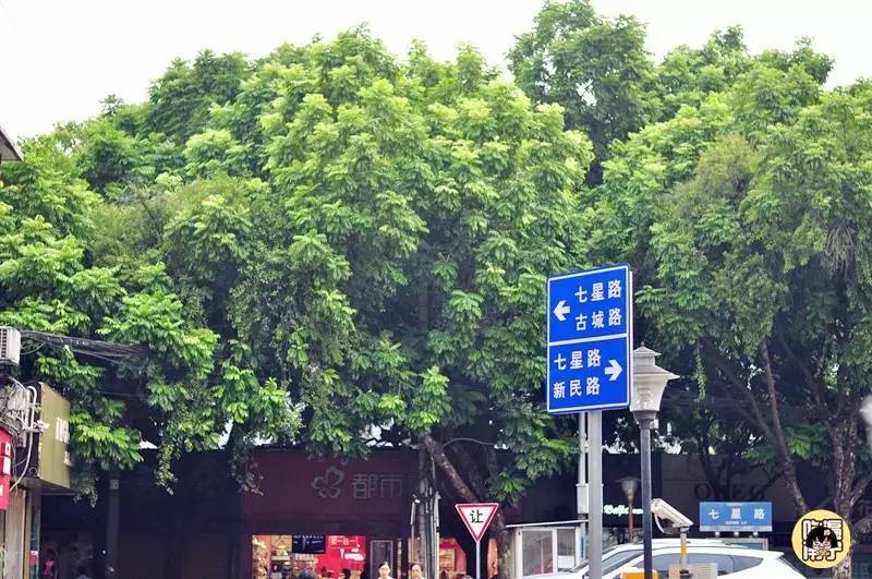 南宁七星路小区里面的美食,南宁七星路一巷美食