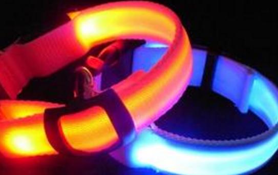 夜间遛狗的注意事项,夜间遛狗边牧怎么办呢