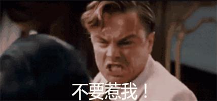 养一只荷兰猪需要花多少钱,养一只荷兰猪需要准备些什么