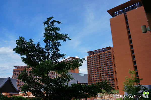 泡在三亚，一家度假酒店足以