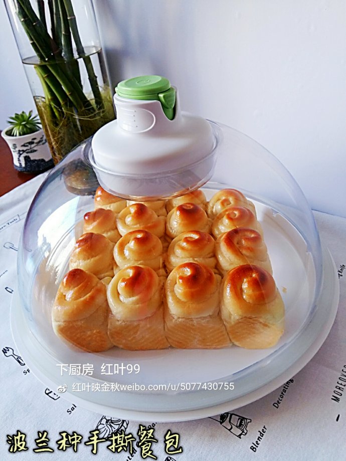 拉丝波兰种面包的做法,波兰种柔软小餐包简单做法