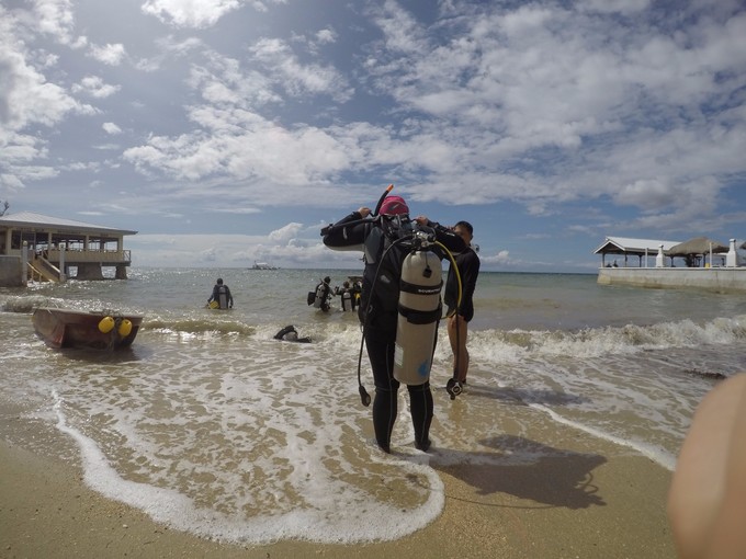 菲律宾潜水游记 (回忆菲律宾潜水的时光)